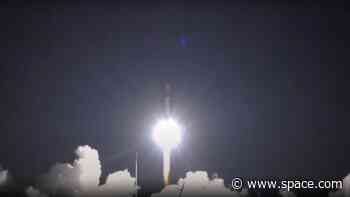 Rocket Lab launches 5 IoT satellites on landmark 50th mission