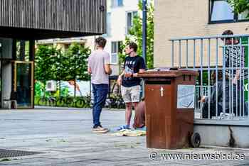 Speciale afvalbakken voor pizzadozen in Diepenbeek zorgen effectief voor minder afval