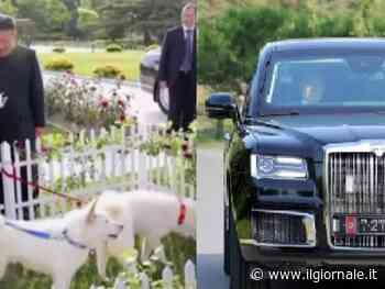 Auto di lusso, la scatola misteriosa e cani leggendari: cosa svelano i regali tra Kim e Putin