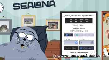 Solana DEX Raydium: So viele Transaktionen kommen über Meme Coins