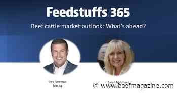 Beef market outlook: What's ahead?