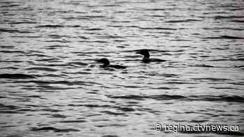 Photos wanted: Tourism Sask. launches annual explore contest