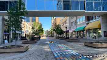 City says survey shows high support for keeping Scarth Street pedestrian-only