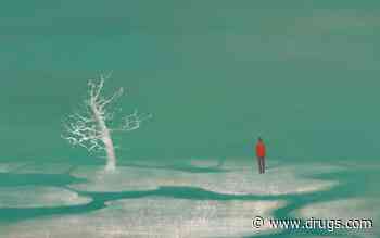 Prevalence of Mental Health Variables Higher for Adults Reporting Loneliness