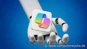 Microsoft Dynamics 365 Copilot erklärt