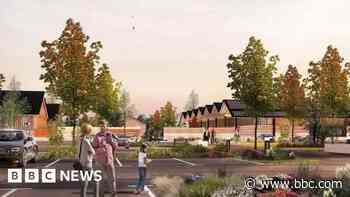 Tebay-style services plan faces government inquiry