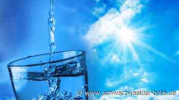 Trinkwasserbrunnen: In Nagold gibt es bald kostenlos Wasser