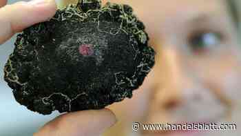 Rohstoffe : Preis fast verdoppelt: Dieses Metall hat Kupfer und Gold in diesem Jahr übertroffen