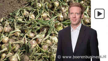 Uienmarkt zit tussen tafellaken en servet