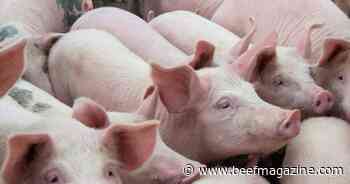 Farm Progress America, June 21, 2024