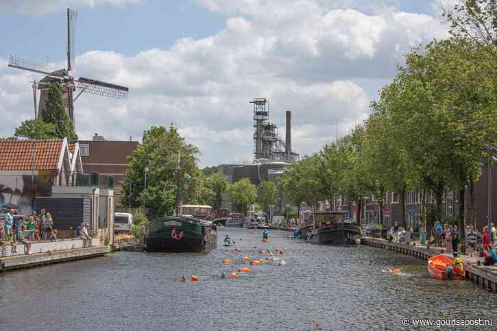 Swim to Fight Cancer: Dit is het programma