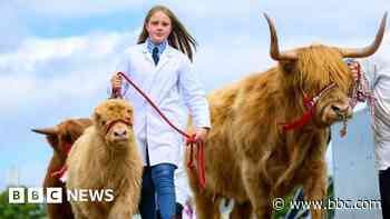 Highland Show kicks off with full programme despite £3m losses