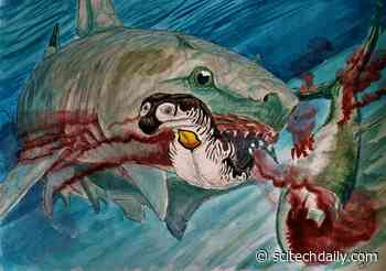 Century-Old Fossil Mystery Solved: Scientists Discover True Identity of Ancient Sea-Lizard