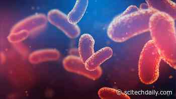 Rewriting Basic Biology Textbooks: Scientists Reveal Secret Behind Humans’ Microbial Ancestors’ Hydrogen Production