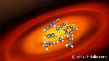 The Chemical Cauldron of Creation: JWST’s Insights Into Protoplanetary Disks