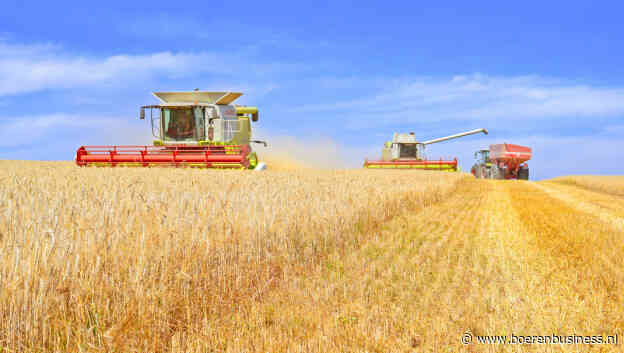 Tarwe is de zwakke broeder op de granenmarkt