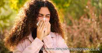 What is the pollen count in Blackburn today? See forecast