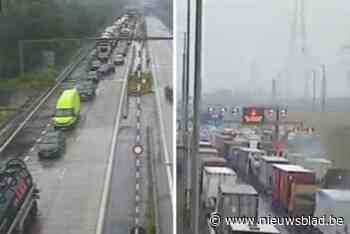 Liefkenshoektunnel richting Nederland versperd door ongeval met vrachtwagens: “Vermijd de omgeving”