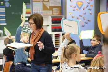 Gemeente Mol zoekt vrijwillige tolken: “We willen de taalbarrière verlagen”