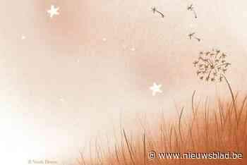 Gemeente opent sterrenregister voor stilgeboren kindjes: “Blijvende herinnering”