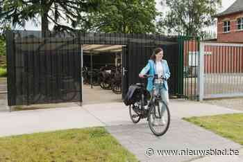 Mobiele teams van Zorggroep Multiversum vieren jubileum: “Psychiatrische begeleiding thuis is minder ingrijpend dan een ziekenhuisopname”