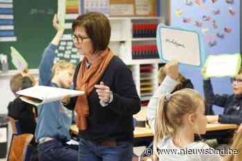Gemeente Mol zoekt vrijwillige tolken voor scholen: “We willen de taalbarrière verlagen”