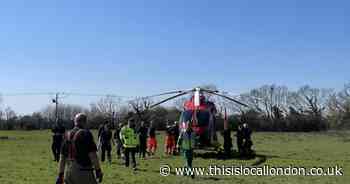Damyns Hall Aerodrome, Upminster plane crash cause revealed