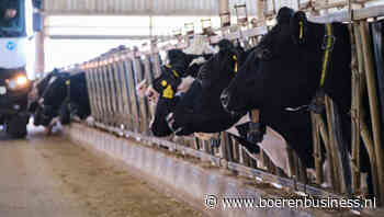 Meer besmettingen vogelgriepvirus VS