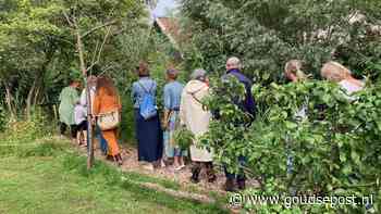 Groene Avondvierdaagse: wandelen langs onbekende groene 'pareltjes' in de stad