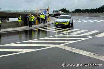 Ze is open! Gazet Van Antwerpen rijdt als eerste over de nieuwe brug van Wijnegem
