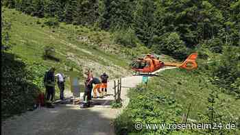 Feuerwehr befreit Wanderer aus Viehgitter: So gelangte das Löschfahrzeug sicher ins Tal