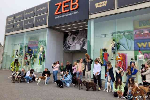 ZEB verwelkomt 25 blaffende collega’s tijdens ‘Take your dog to work day’: “Meer gelach, minder stress én je leert je collega’s op een andere manier kennen”