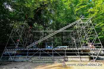 Dit festival verwacht geen enkel probleem door aanhoudende regen: “Dankzij de vele bomen is het hier verrassend droog”