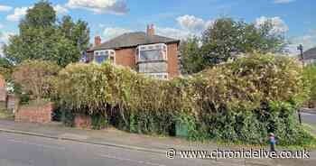 The pair of Elswick flats up for auction with starting bid of £1