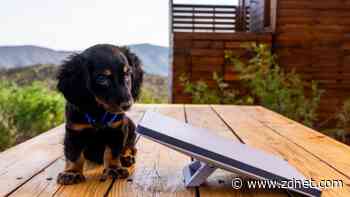 SpaceX's Starlink Mini is an internet antenna that can fit in your backpack