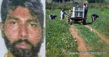 Het lot van een arbeidsmigrant: Italiaanse baas liet Satnam met afgerukte arm op de stoep doodbloeden