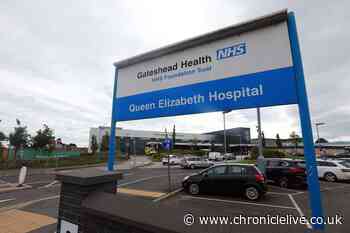 Gateshead hospital trust taking urgent action after rats and maggots found - but bosses say no risk to patients