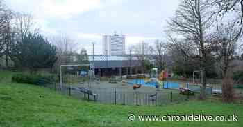 Newcastle man admits being in charge of XL Bully that attacked two children and teen