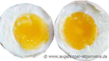 In Finningen sind Eierdiebe unterwegs