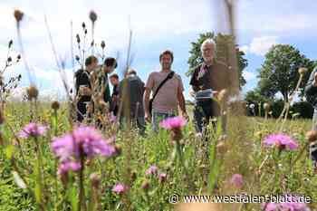 Brakel: Schüler entdecken Vielfalt von Tieren und Pflanzen auf Blühwiese