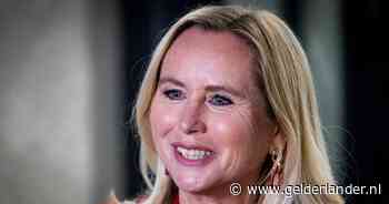 PVV-ministerskandidaat Klever vindt omvolkingstheorie niet racistisch: ‘Dat label deel ik niet’