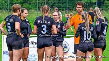 Faustball-Bundesliga: TSV Calw darf sich keinen Patzer erlauben
