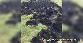 Royal Parks reminds visitors of BBQ ban during hot weather
