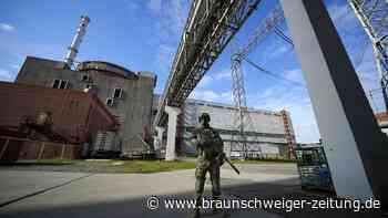 Expertin: „Müssen uns auf Unfälle in Atom-Anlagen einstellen“