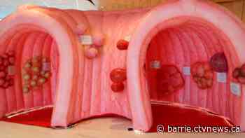 Giant inflatable colon meant to promote colorectal cancer awareness