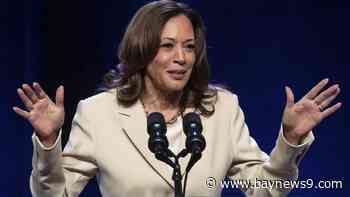 'We will fight for you': Harris tries to draw contrasts between Biden, Trump in New York union speech