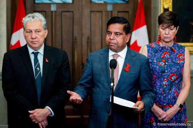 Concern over Indigenous identity fraud heightened by government definitions: minister