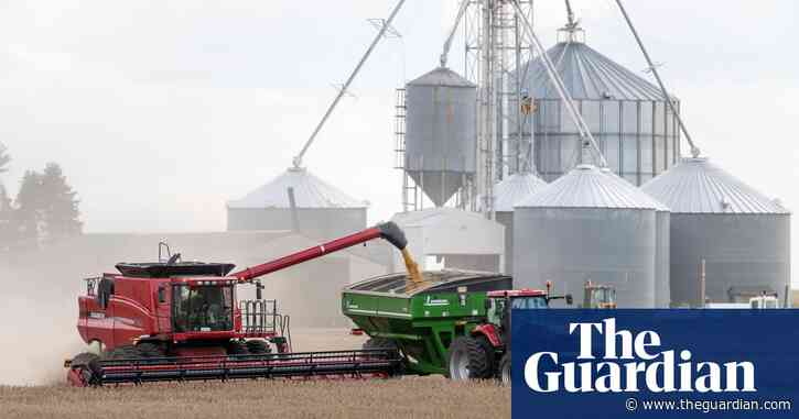 Economist suggests storing grain to prepare for next global emergency