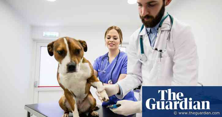 UK inflation: which everyday items have fallen in price most?