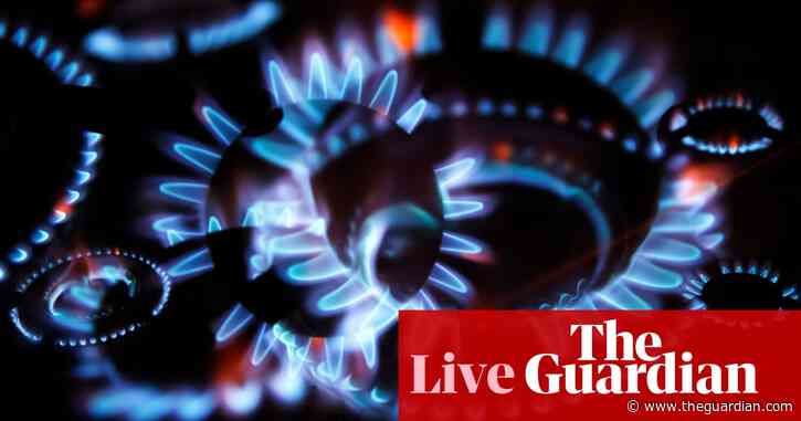 Shadow energy minister says system in ‘dire trouble’ – as it happened